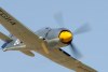 RN5_5323t.jpg