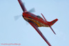 RN6_8171t.jpg