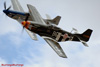RN6_9788t.jpg