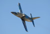 RN7_7732wt.jpg