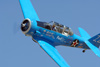 RN7_7692wt.jpg
