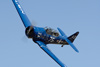 RN7_7701wt.jpg