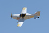 RN7_7801wt.jpg