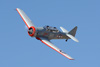 RN7_9330wt.jpg