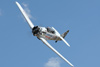 RN7_9708wt.jpg