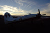 RN7_0017wt.jpg