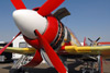 RN7_6109wt.jpg