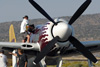 RN7_6151wt.jpg