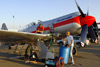 RN7_6404wt.jpg
