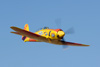 RN7_8026wt.jpg
