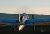 RN7_9137wt.jpg