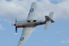 RN7_9823wt.jpg