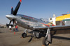 RN7_6122wt.jpg
