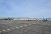 Reno12_8410t.jpg