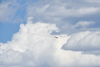 Reno_2014-10362t.jpg
