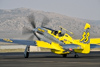 Reno_2014-20746t.jpg