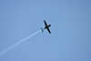 Reno_2014-72571t.jpg