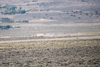 Reno_2014-72588t.jpg