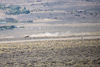 Reno_2014-72591t.jpg