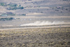 Reno_2014-72595t.jpg
