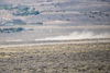 Reno_2014-72596t.jpg