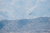 Reno_2014-75826t.jpg