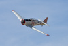 Reno_2014-41892t.jpg