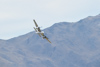 Reno_2014-64619t.jpg
