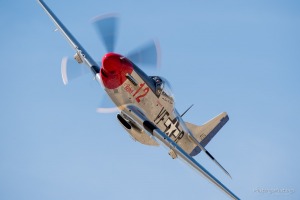 P-51 Mustang