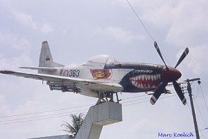 P-51 Survivor IAF363 