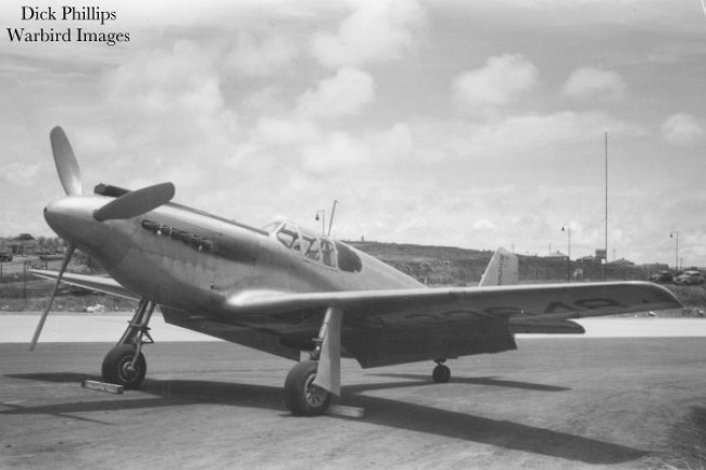 P-51 Survivor 43-6007 NX33648