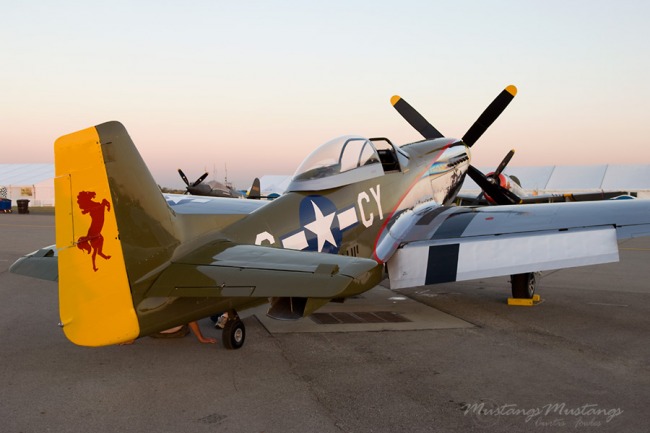 P-51 Survivor 44-14985 N551W