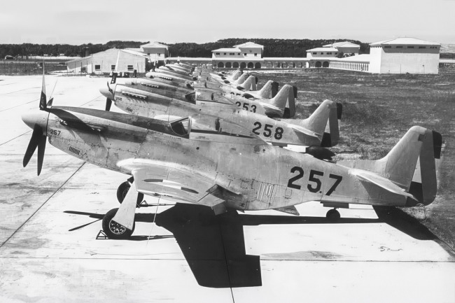 P-51 Survivor 44-63530 