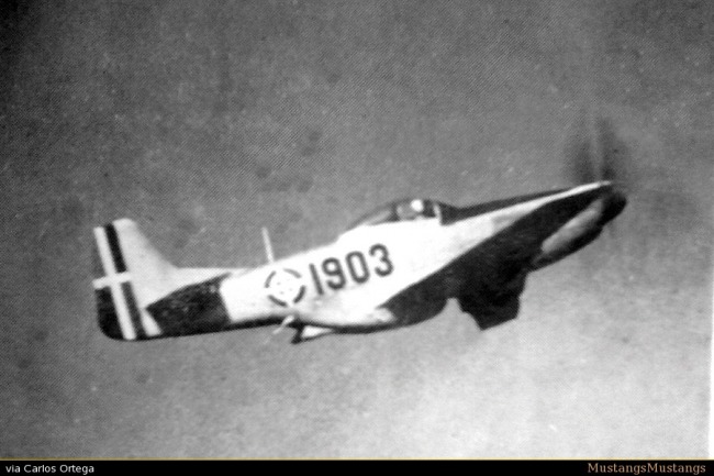 P-51 Survivor 44-72449 