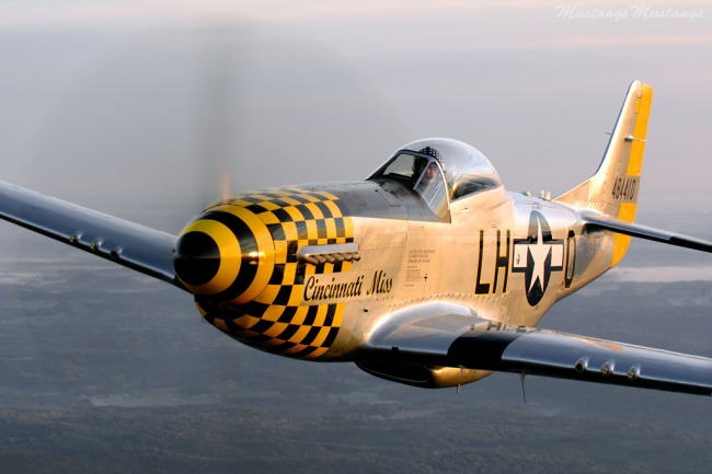 P-51 Survivor 44-73260 N83KD