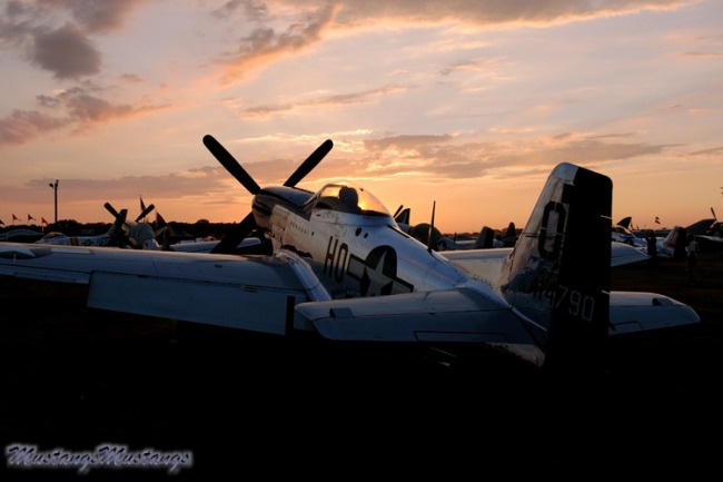 P-51 Survivor 44-73279 N451D