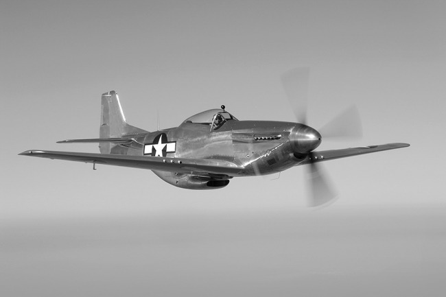 P-51 Survivor 44-74341 