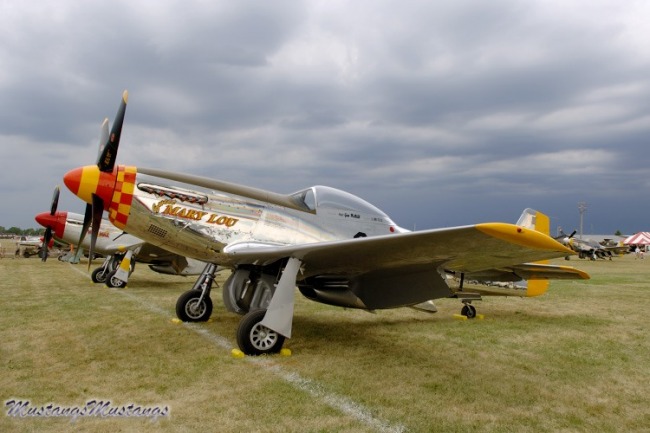 P-51 Survivor 44-74865 N8677E