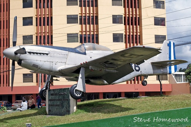 P-51 Survivor FAG336 none