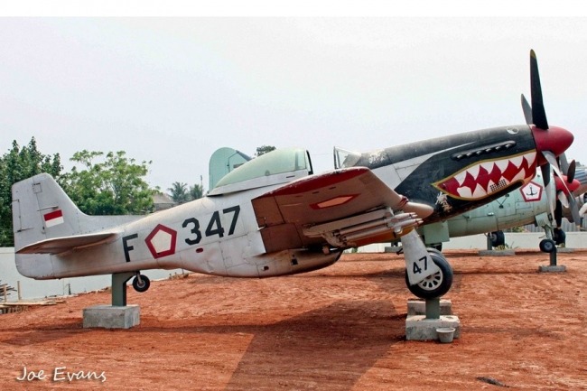 P-51 Survivor IAF347 