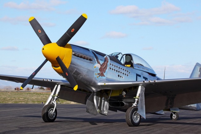 P-51 Survivor UNK02 