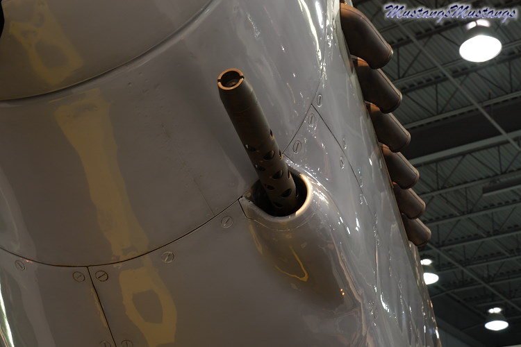 41-038_00019_cf1.jpg