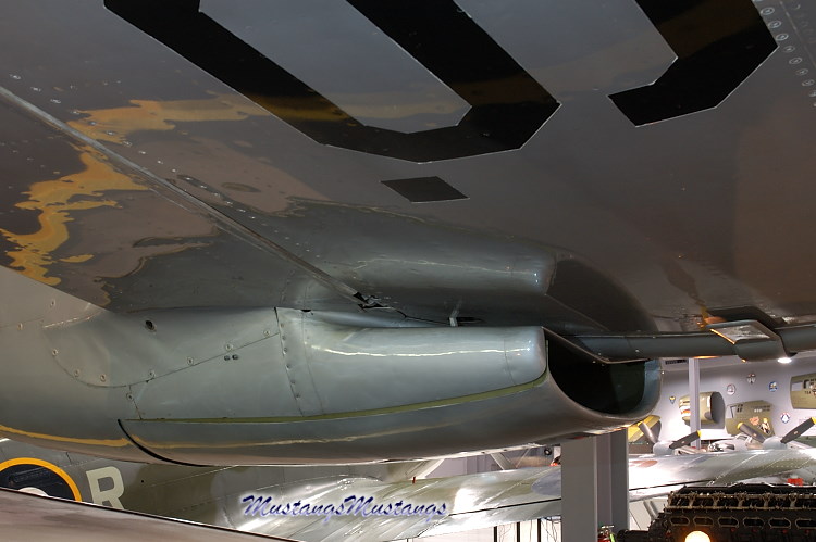 41-038_00031_cf1.jpg