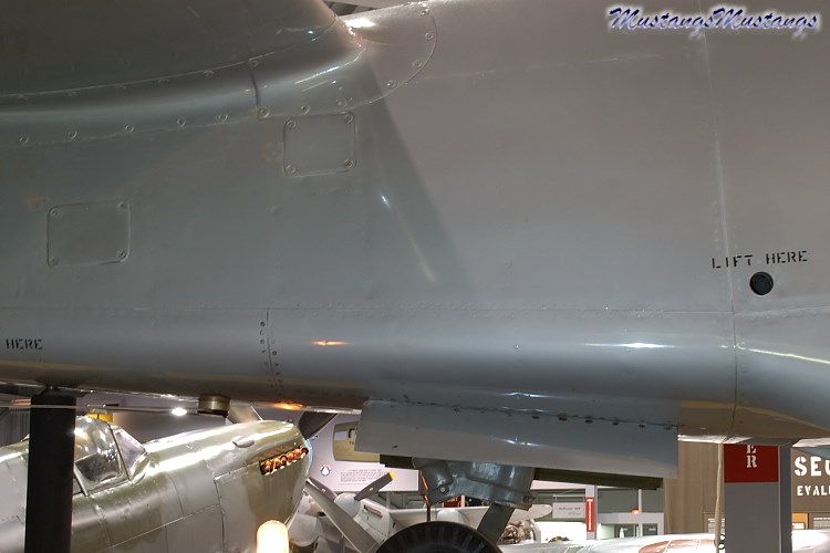 41-038_00033_cf1.jpg