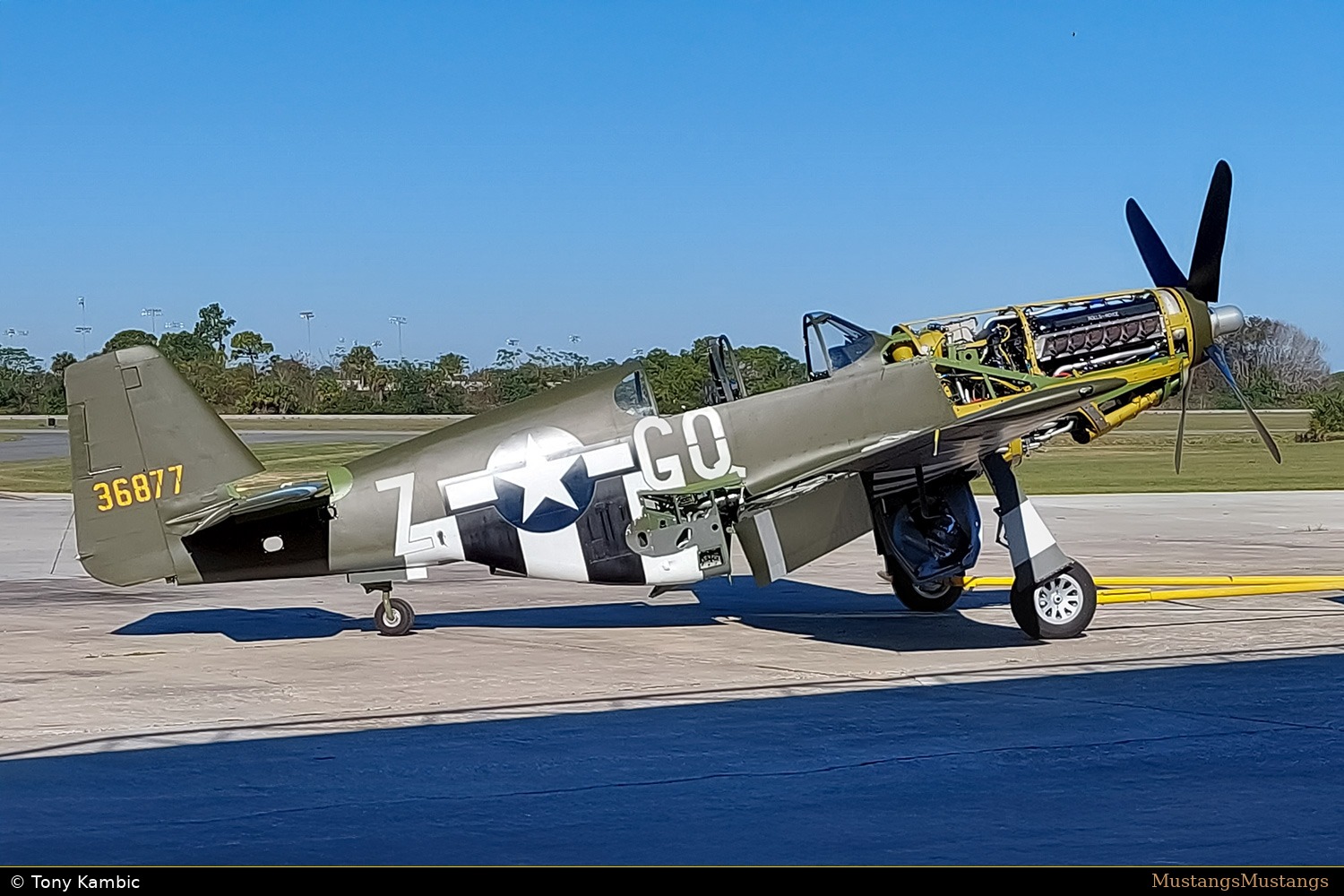 42-103293_10534_tk1.jpg