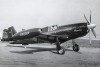 P-51
