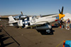 P-51