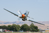 P-51