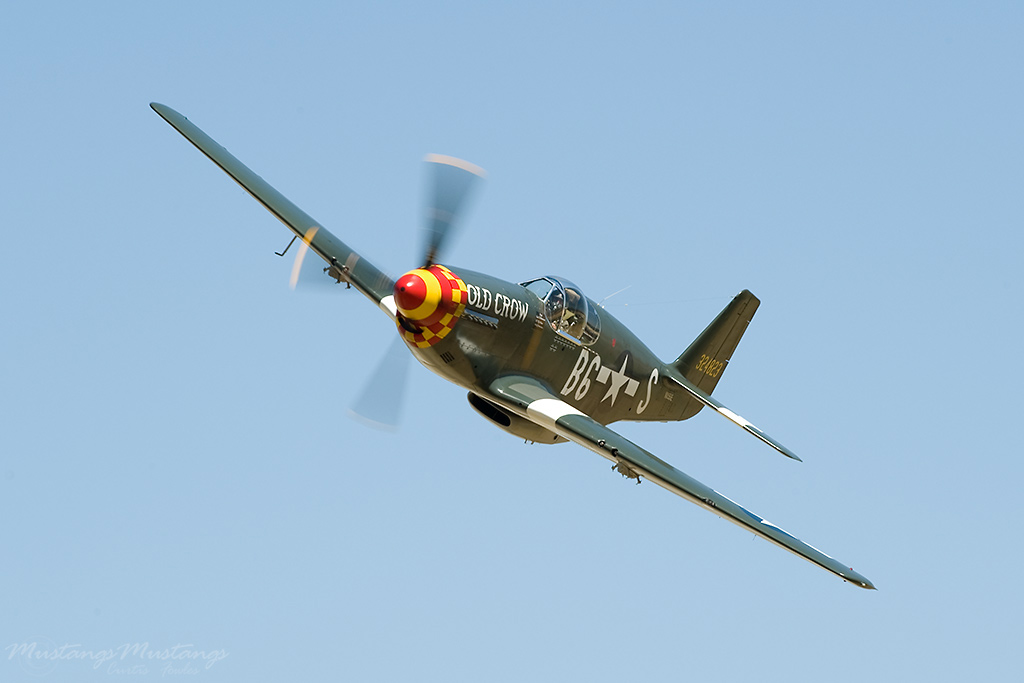 43-12252_00273_cf1.jpg