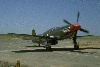 P-51